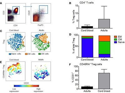 Maturation and Phenotypic Heterogeneity of Human CD4+ Regulatory T Cells From Birth to Adulthood and After Allogeneic Stem Cell Transplantation